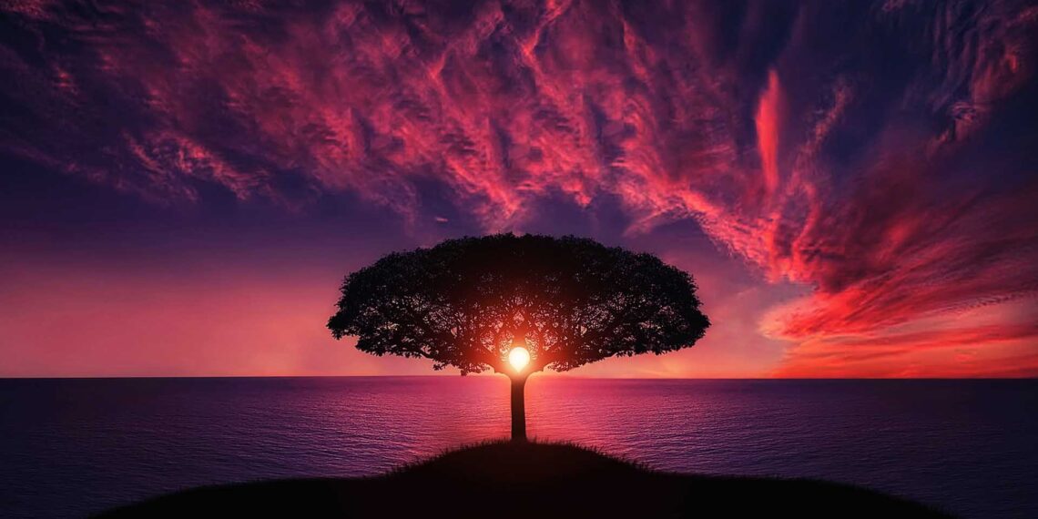 best astrologer in Chennai