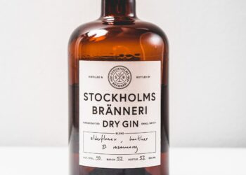 Main Distinctions and Similarities Between Vodka and Gin