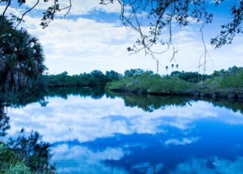 Is Braden River Good for Kayaking