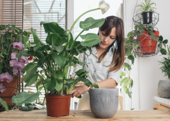 4 Relaxing and Fun Hobby Ideas for Stay at Home Moms