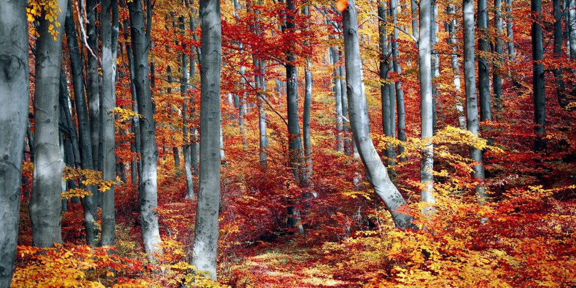 All Seasons Painting